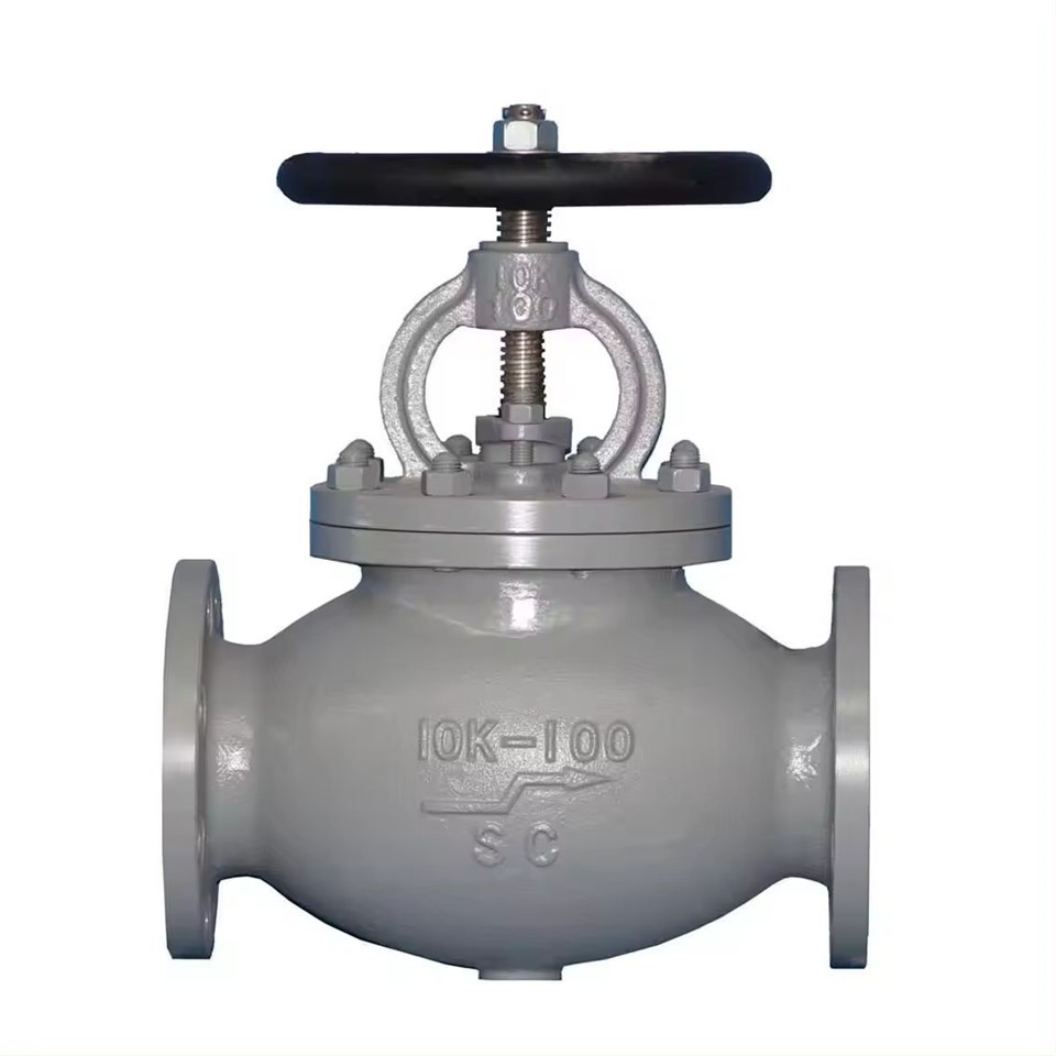 WCB Globe Valve